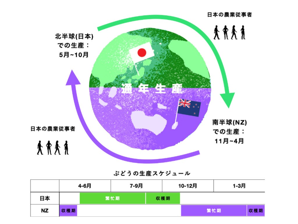 株式会社GREENCOLLARと株式会社KNOWCHによる、日本とニュージーランド２国間における農業人材循環制度の開始のサブ画像2