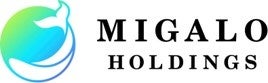 ミガロホールディングス株式会社設立のお知らせのサブ画像1